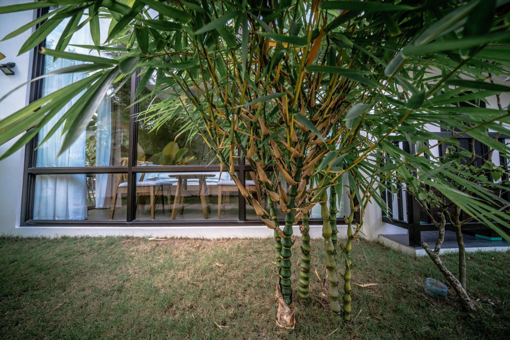 הוילה פנגלאו Tana Mysterious Garden מראה חיצוני תמונה